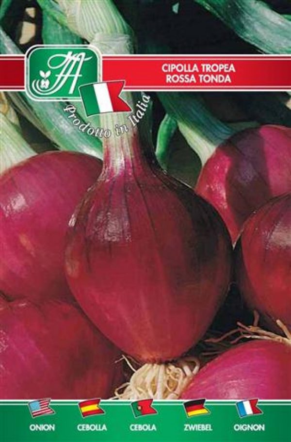 Cipolla Tropea rossa tonda