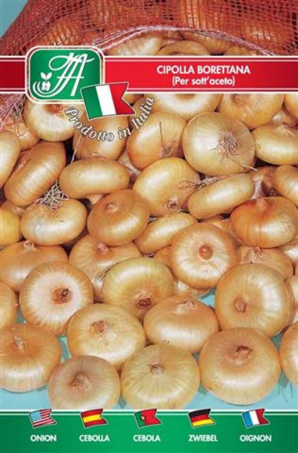 Cipolla borettana