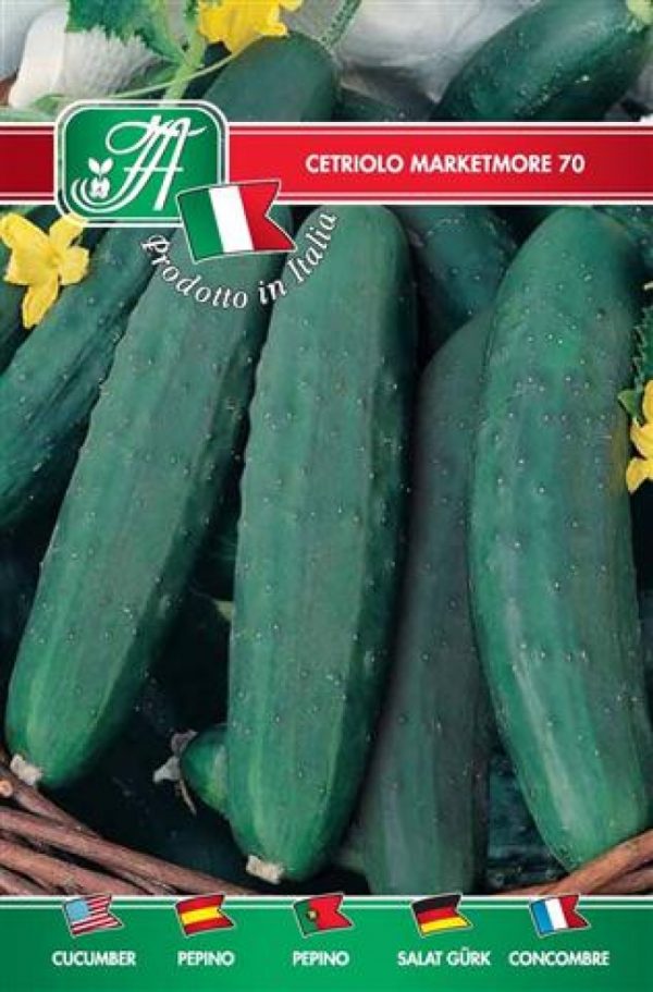 Cetriolo marketmore 76