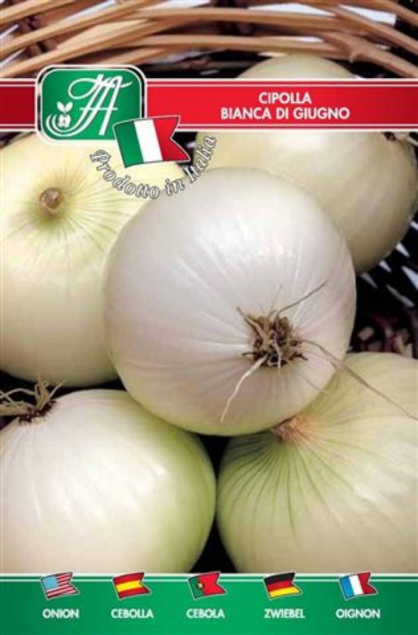 Cipolla bianca di giugno