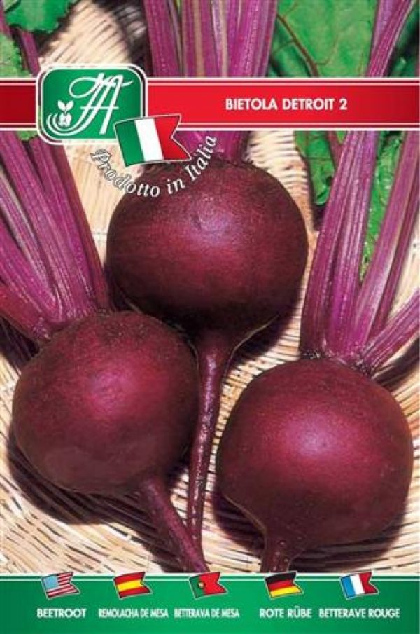 Bietola da orto Detroit 2