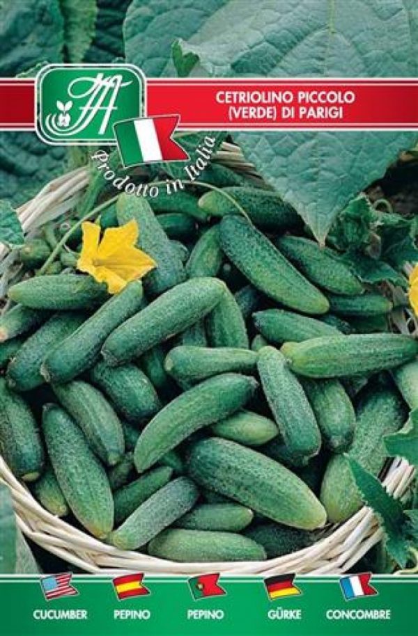 Cetriolo piccolo di Parigi