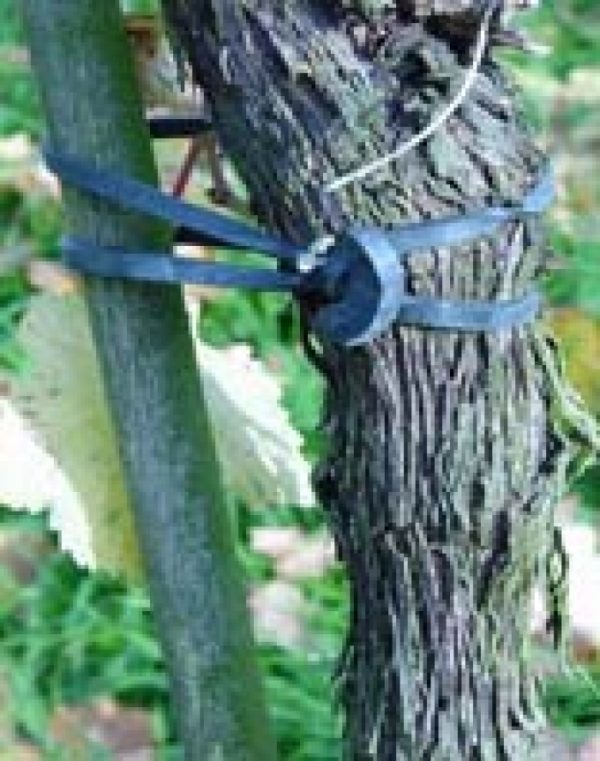 Tree-fix