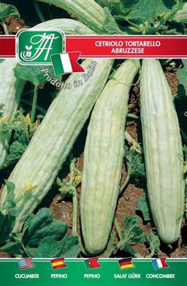 Cetriolo tortarello abruzzese