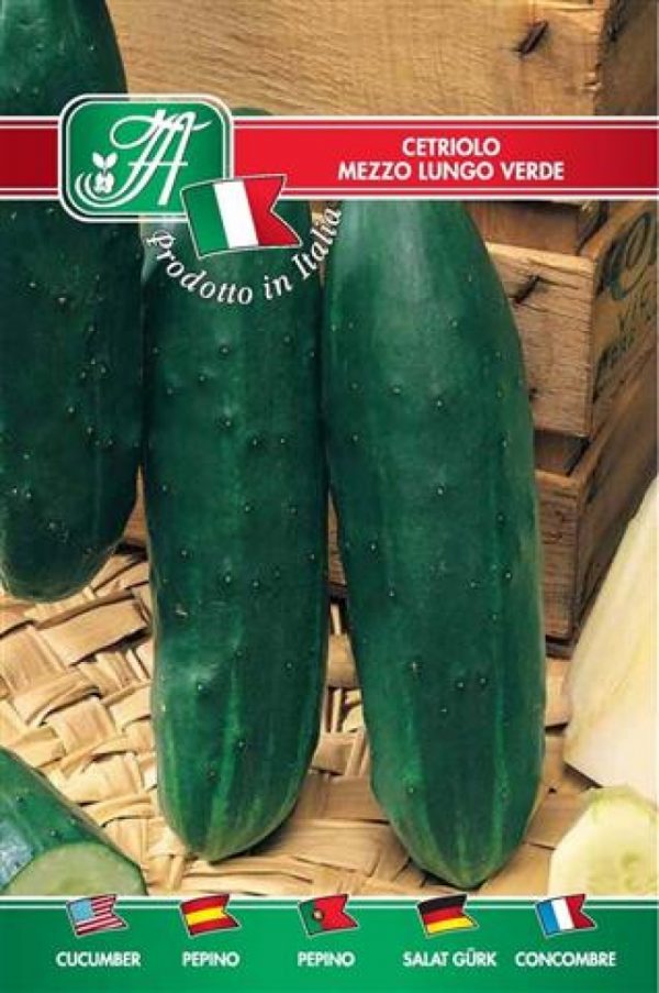 Cetriolo mezzo lungo verde