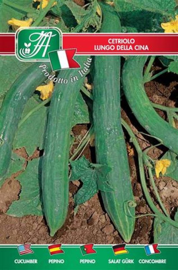 Cetriolo lungo della Cina