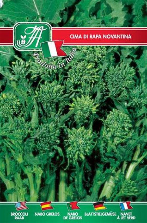 Cima di rapa novantina