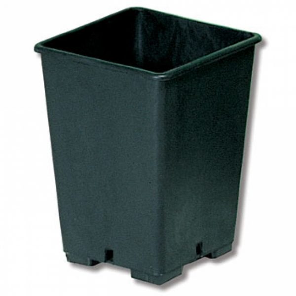 Contenitori in plastica per la coltivazione delle piante