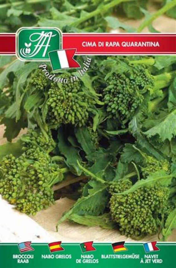 Cima di rapa quarantina