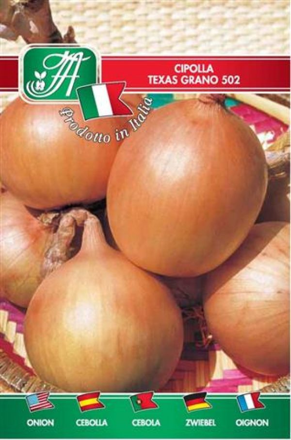 Cipolla Texas grano 502