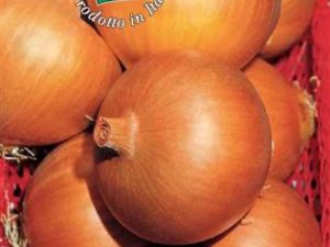 Cipolla dorata di Parma