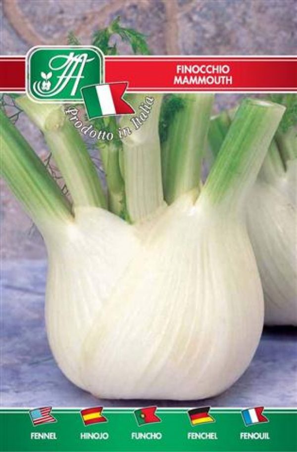 Finocchio Mammouth