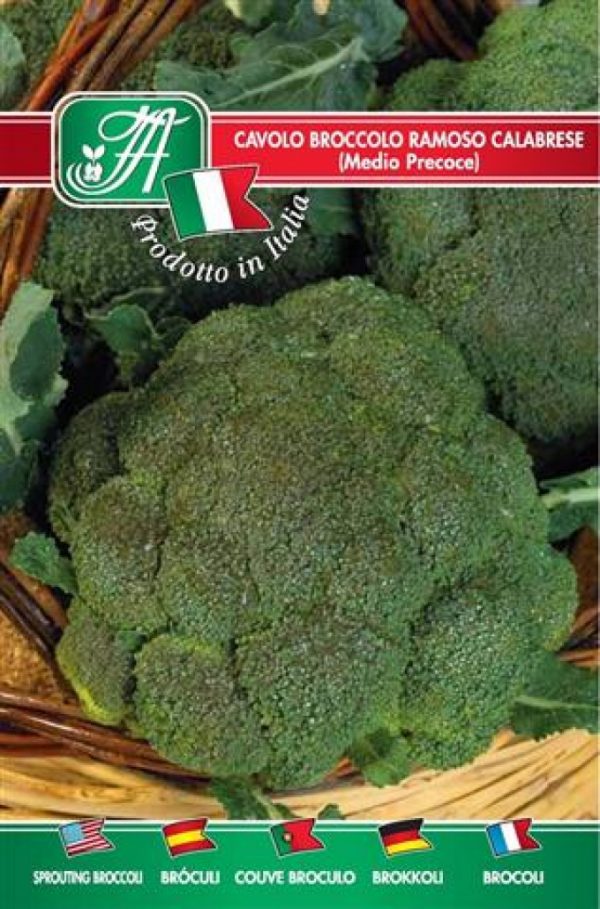 Cavolo broccolo ramoso calabrese