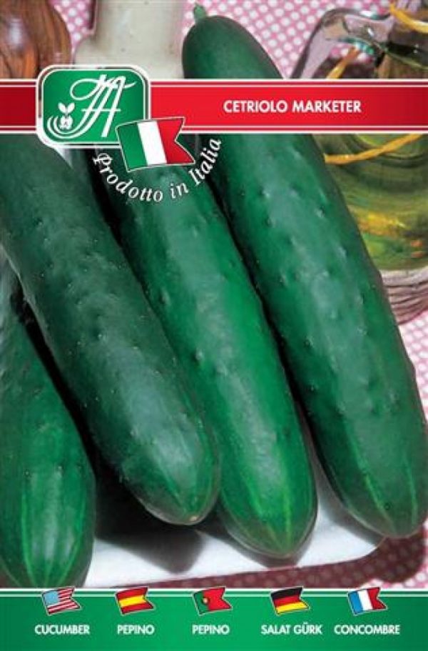 Cetriolo Marketer