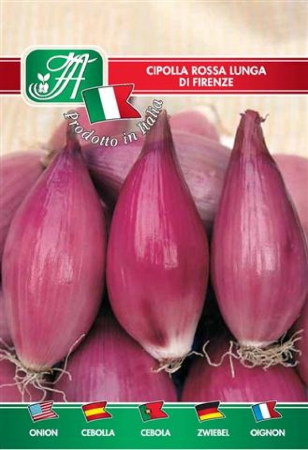 Cipolla rossa lunga di Firenze