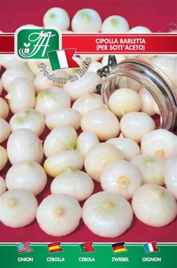 Cipolla Barletta