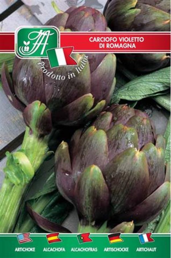 Carciofo violetto di Romagna