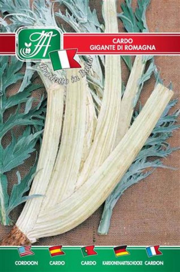 Cardo gigante di Romagna