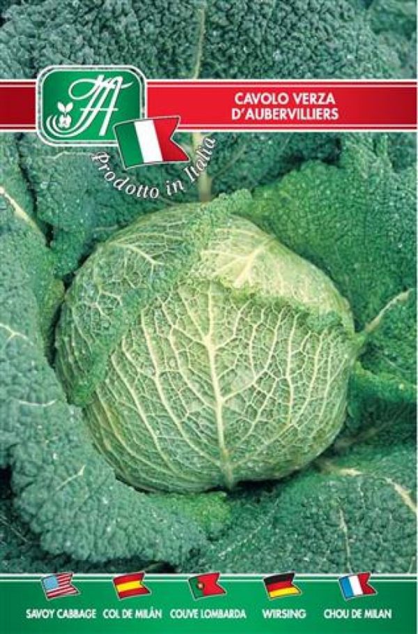 Cavolo verza d'Aubervilliers