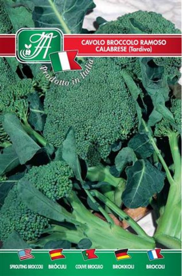 Cavolo broccolo ramoso calabrese tardivo