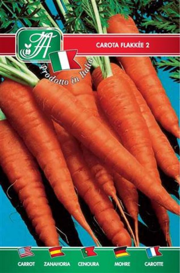 Carota flakkee 2