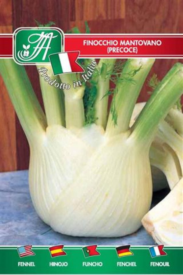 Finocchio mantovano