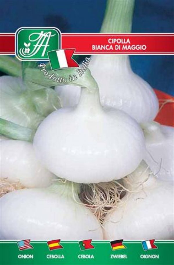 Cipolla bianca di maggio